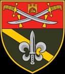 Емблема 53 окремий розвідувальний батальйон