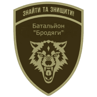 Емблема: 431 окремий батальйон безпілотних систем «Бродяги»