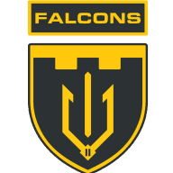 Емблема 2 батальйон безпілотних систем «Falcons» 117 ОБрТрО