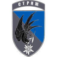 Емблема Батальйон безпілотних систем «Стриж» 10 ОГШБр «Едельвейс»