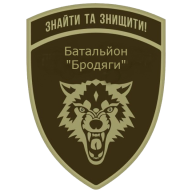Емблема 431 окремий батальйон безпілотних систем «Бродяги»