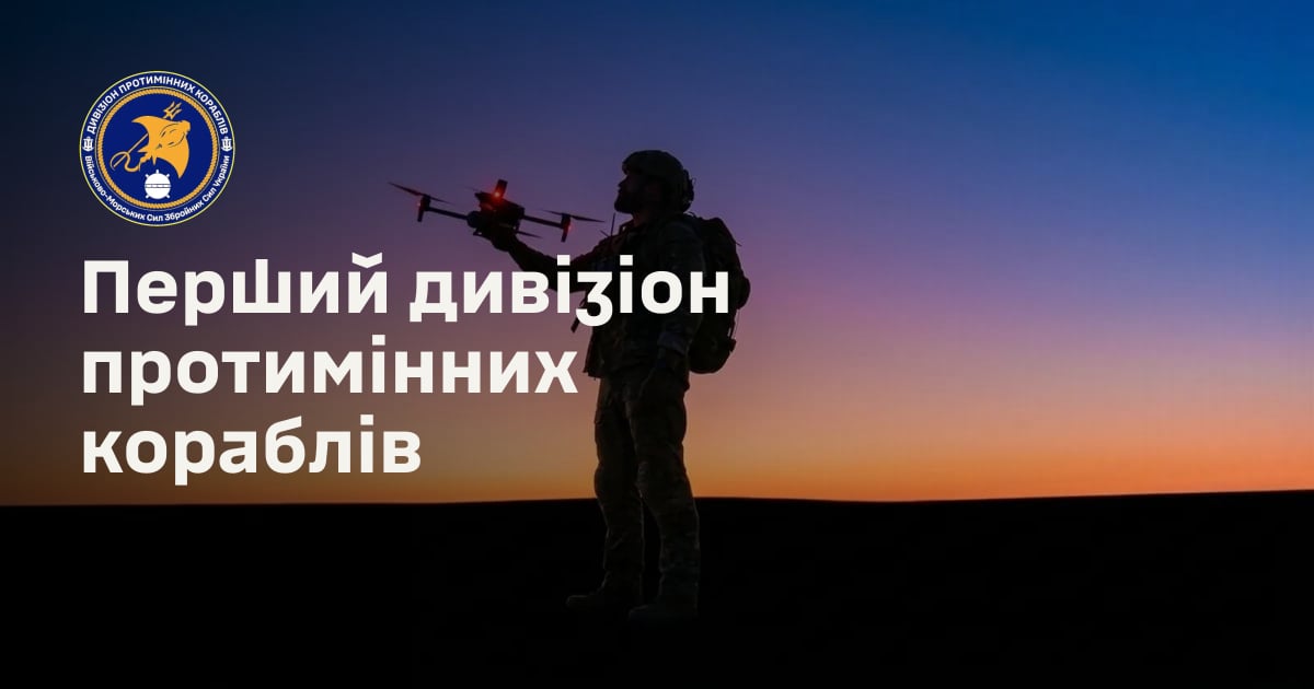 Перший дивізіон протимінних кораблів