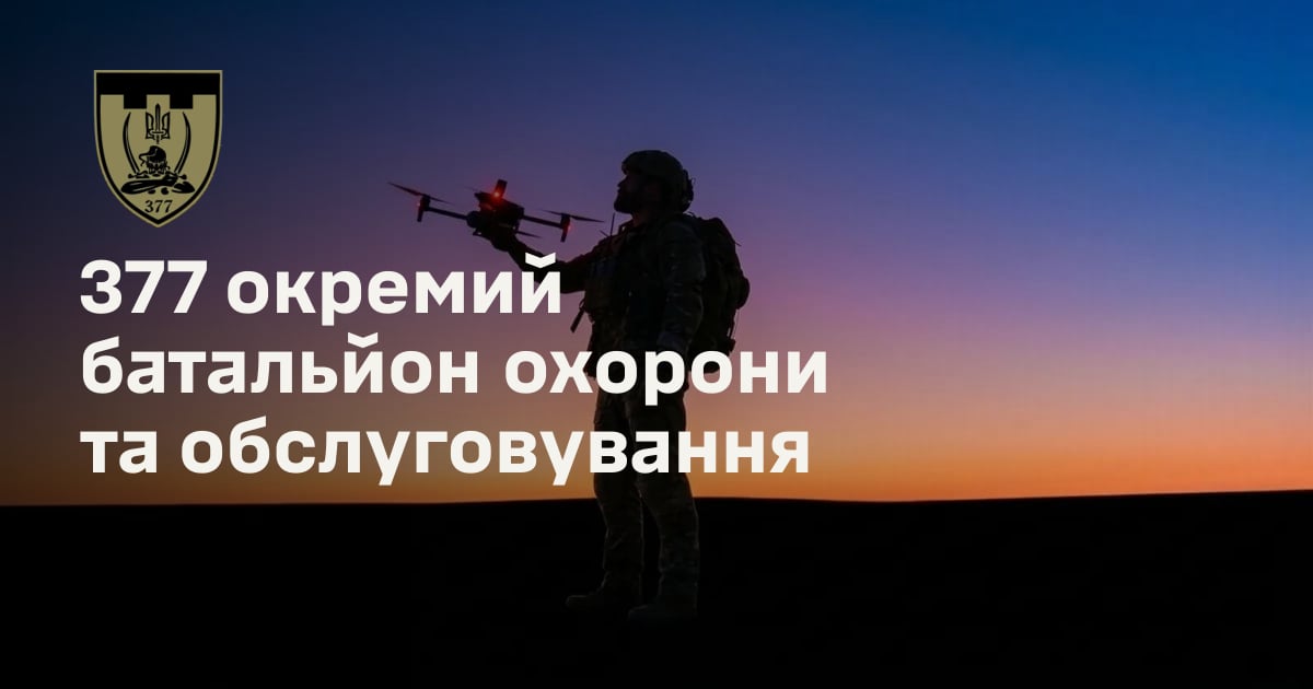 377 окремий батальйон охорони та обслуговування