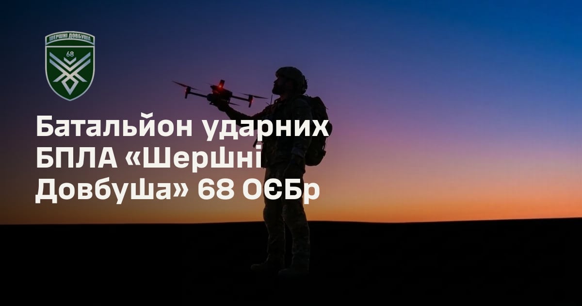 Батальйон ударних БПЛА «Шершні Довбуша» 68 ОЄБр