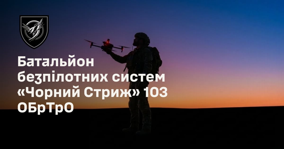 Батальйон безпілотних систем «Чорний Стриж» 103 ОБрТрО