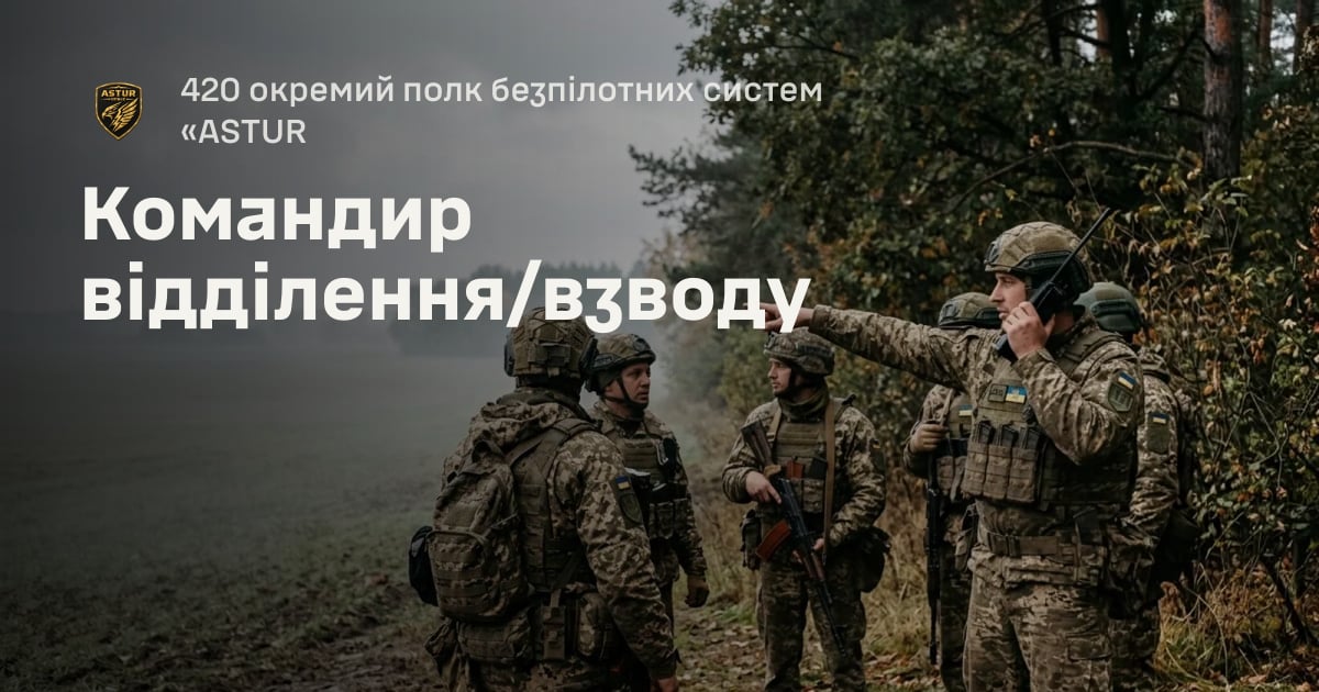 Командир відділення/взводу — 420 окремий полк безпілотних систем «ASTUR