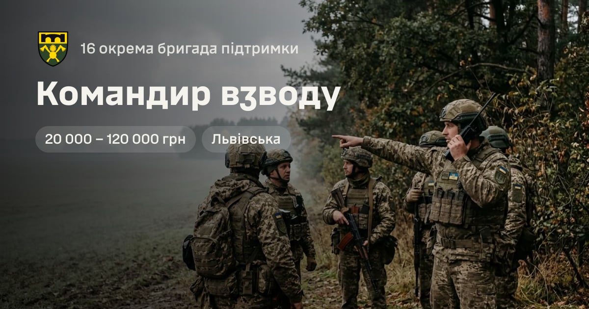 Командир взводу — 16 окрема бригада підтримки