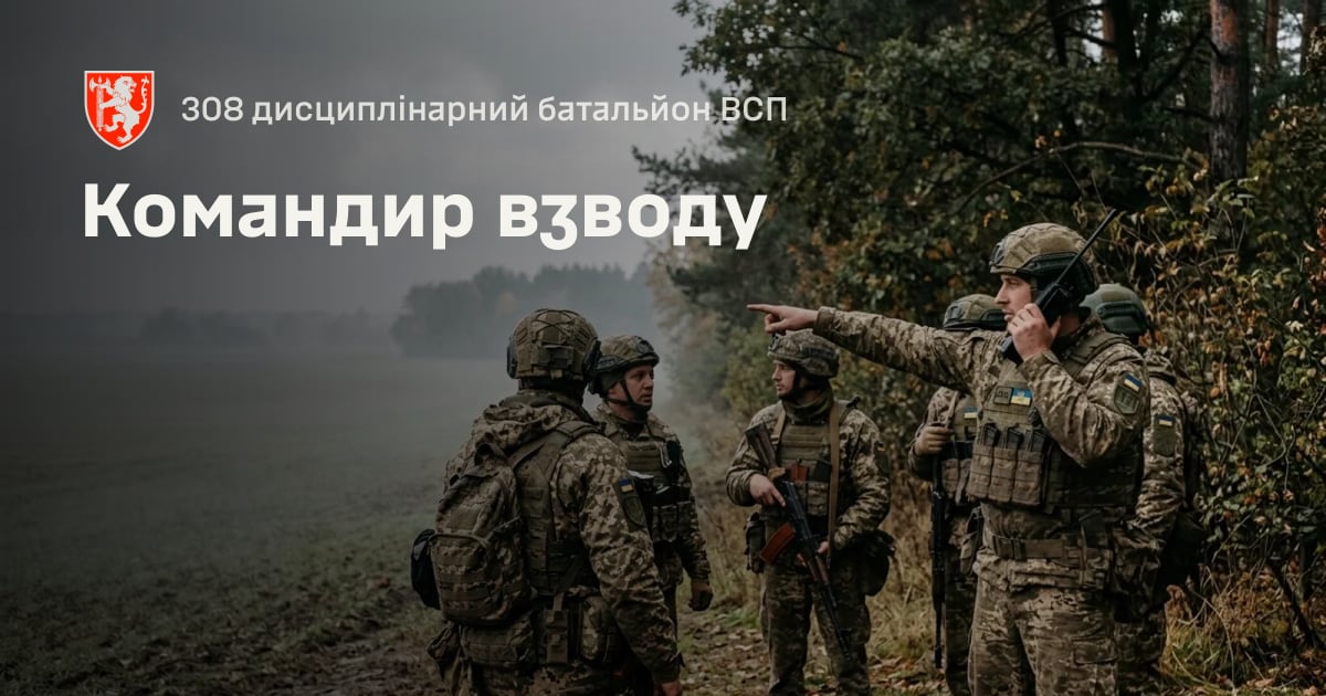 Командир взводу — 308 дисциплінарний батальйон ВСП