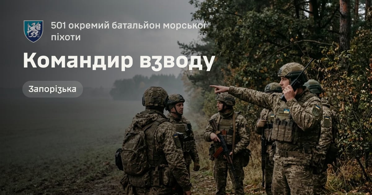 Командир взводу — 501 окремий батальйон морської піхоти
