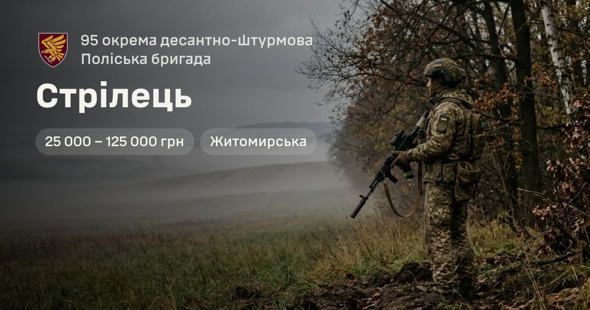 Стрілець — 95 окрема десантно-штурмова Поліська бригада