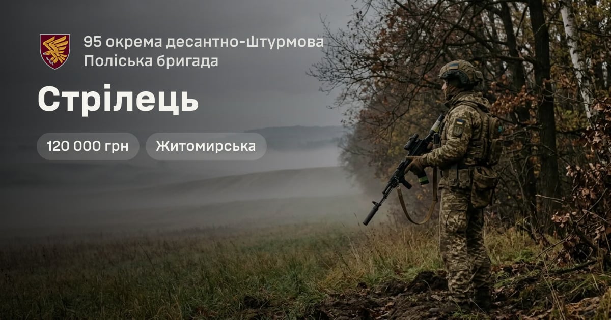 Стрілець — 95 окрема десантно-штурмова Поліська бригада