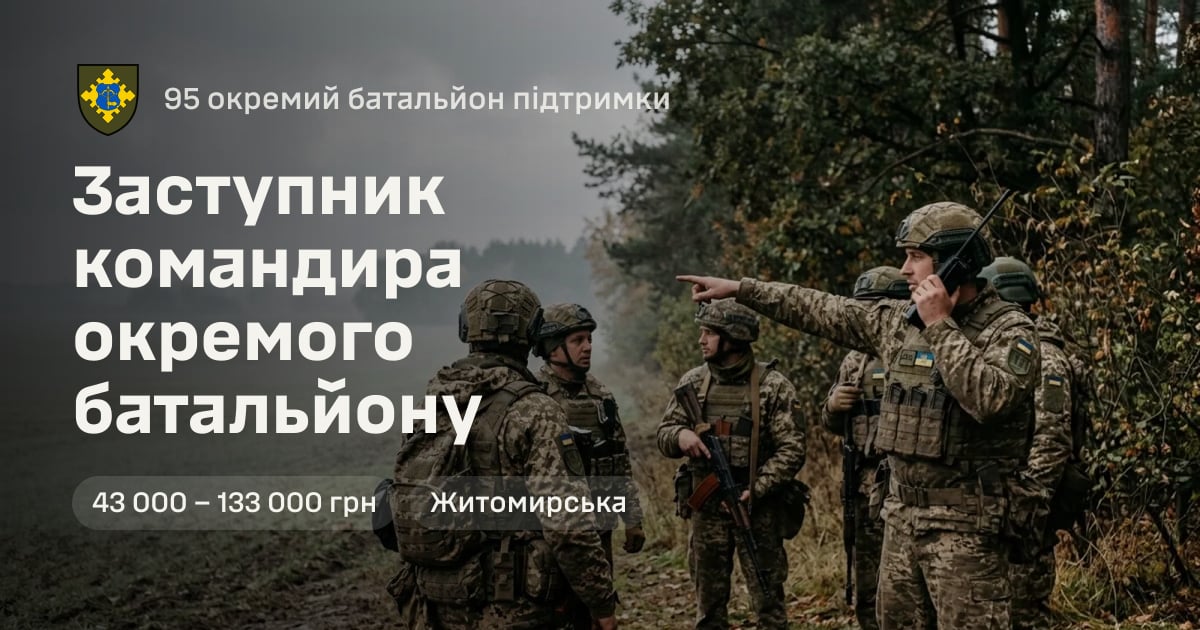 Заступник командира окремого батальйону — 95 окремий батальйон підтримки