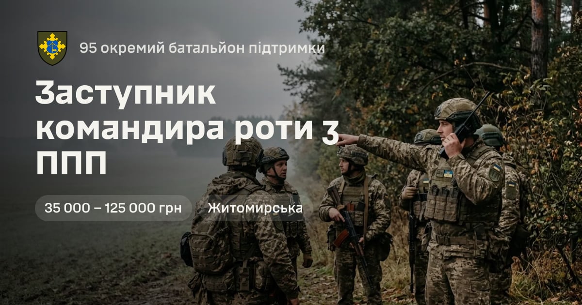 Заступник командира роти з ППП — 95 окремий батальйон підтримки
